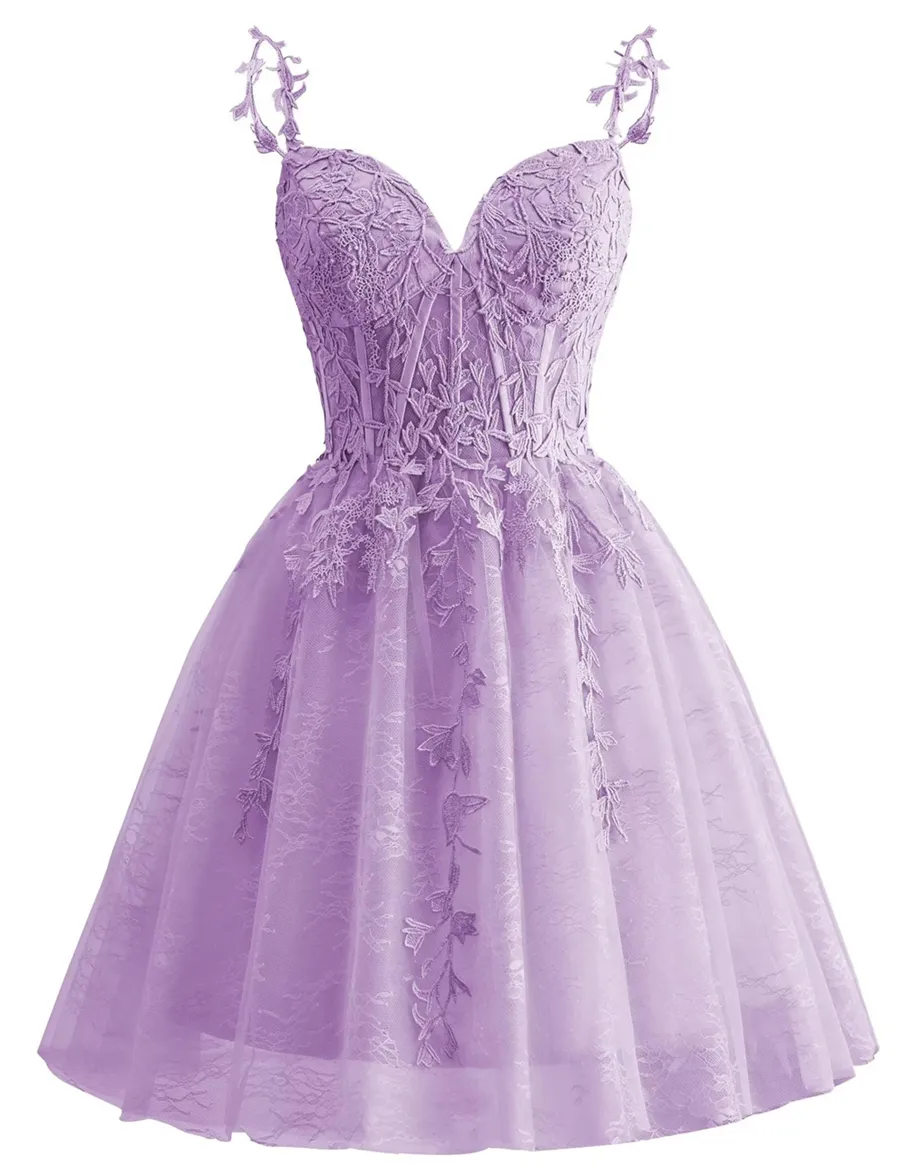 Spaghetti Strap Lace Homecoming Dresses for Teens 2024 Tulle Short Prom Dress Cocktail Gowns fg6049