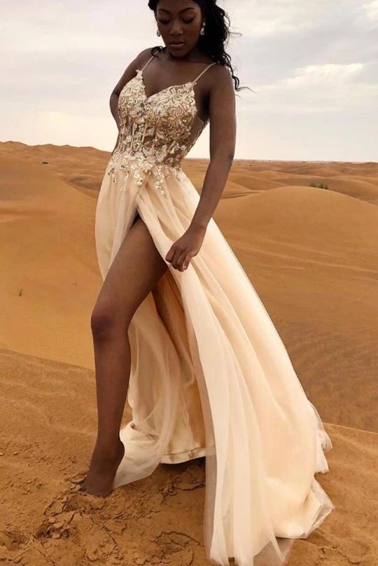 V-neck Tulle Long Prom Dresses with Appliques and Beading fg504