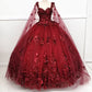 2024 New Quinceanera Dress Burgundy Ball Gown Plus Size Sweet 15 16 Dress       fg4542