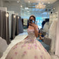 Stunning Off The Shoulder Floral Applique Quinceanera Dress Ball Gown Sweet 16 Dress     fg5472